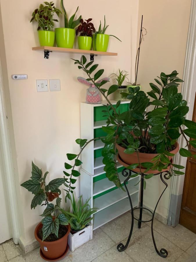 Mini Penthouse 라르나카 외부 사진